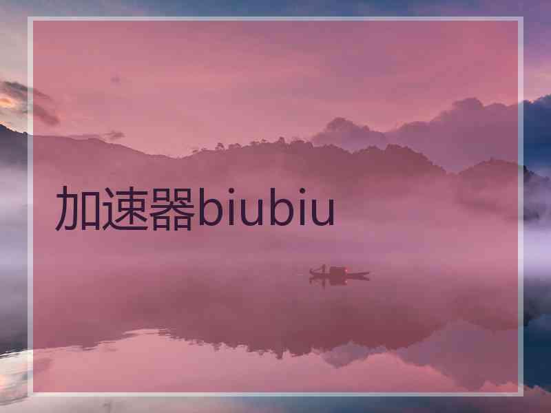 加速器biubiu