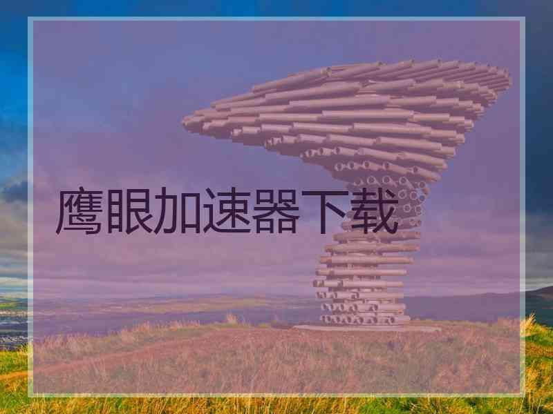 鹰眼加速器下载