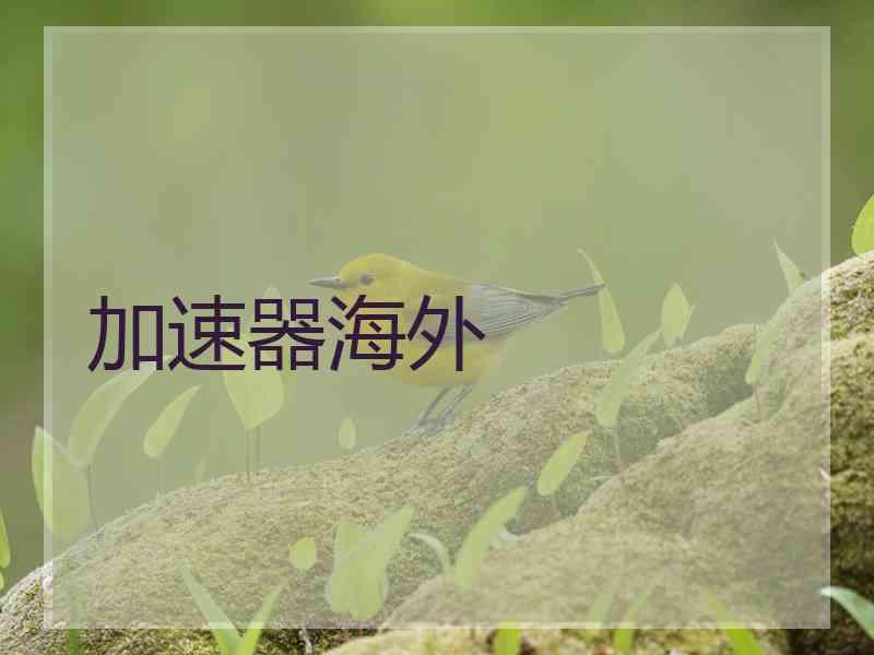 加速器海外