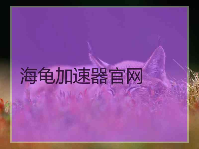 海龟加速器官网