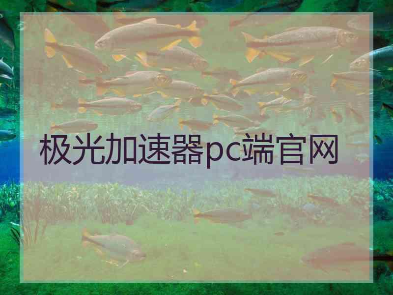 极光加速器pc端官网