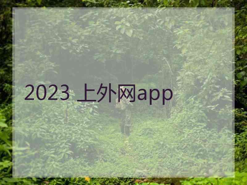 2023 上外网app