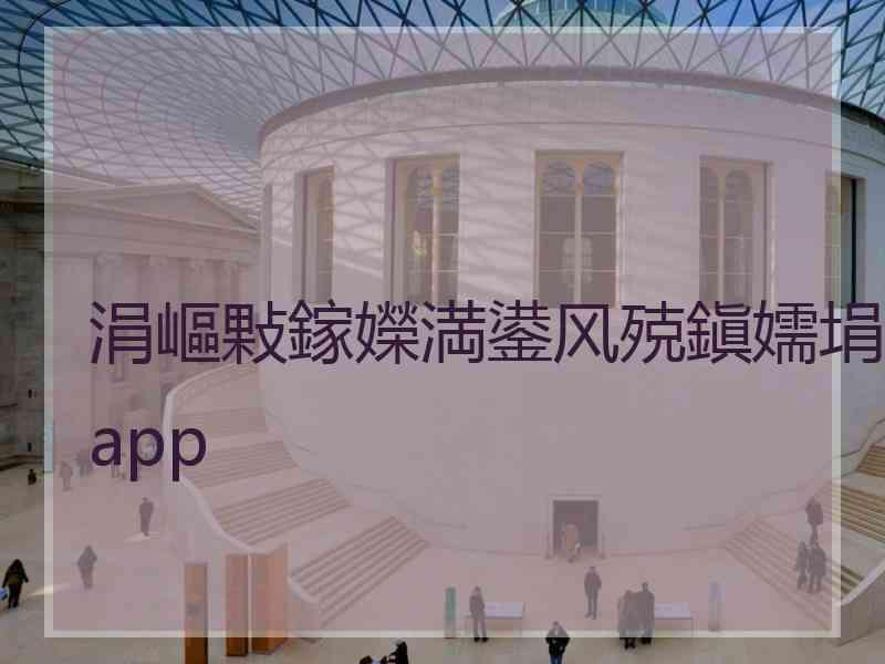 涓嶇敤鎵嬫満鍙风殑鎭嬬埍app
