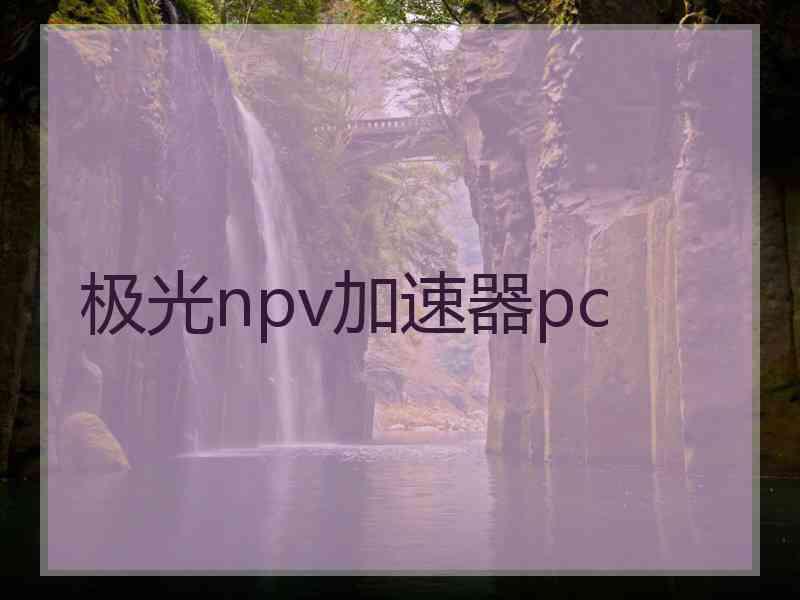 极光npv加速器pc
