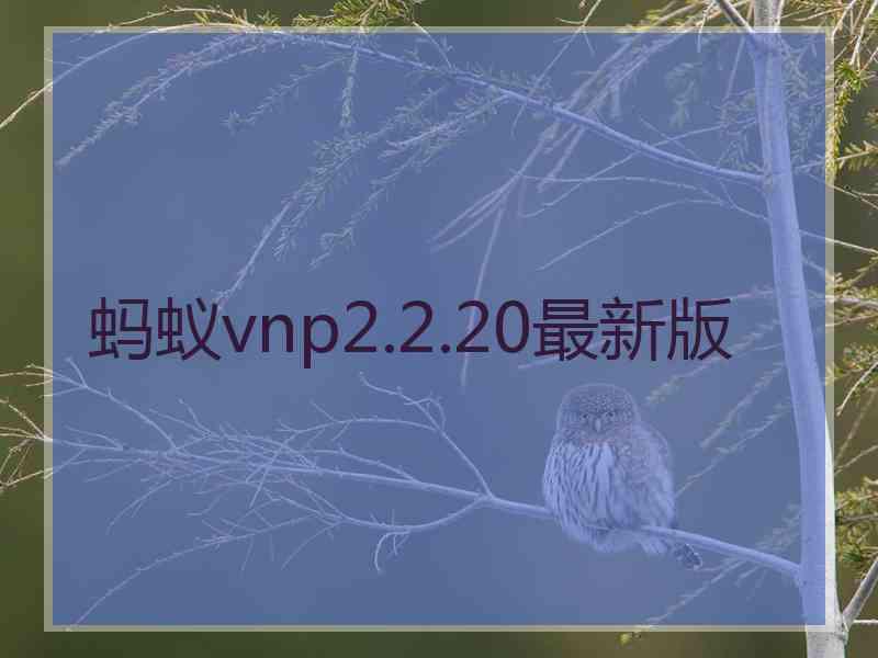 蚂蚁vnp2.2.20最新版