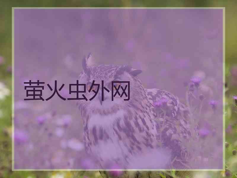 萤火虫外网