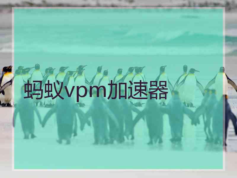 蚂蚁vpm加速器