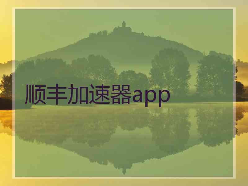 顺丰加速器app