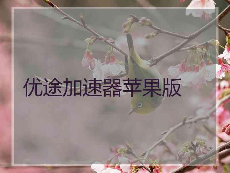 优途加速器苹果版