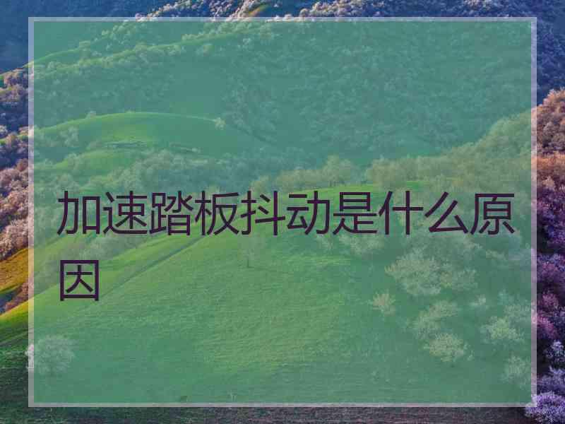 加速踏板抖动是什么原因