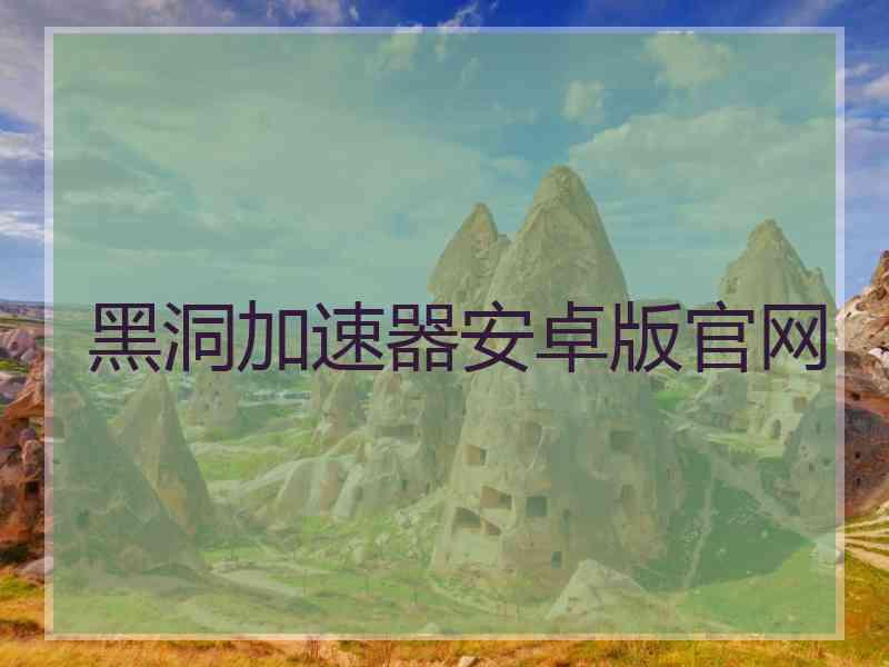 黑洞加速器安卓版官网