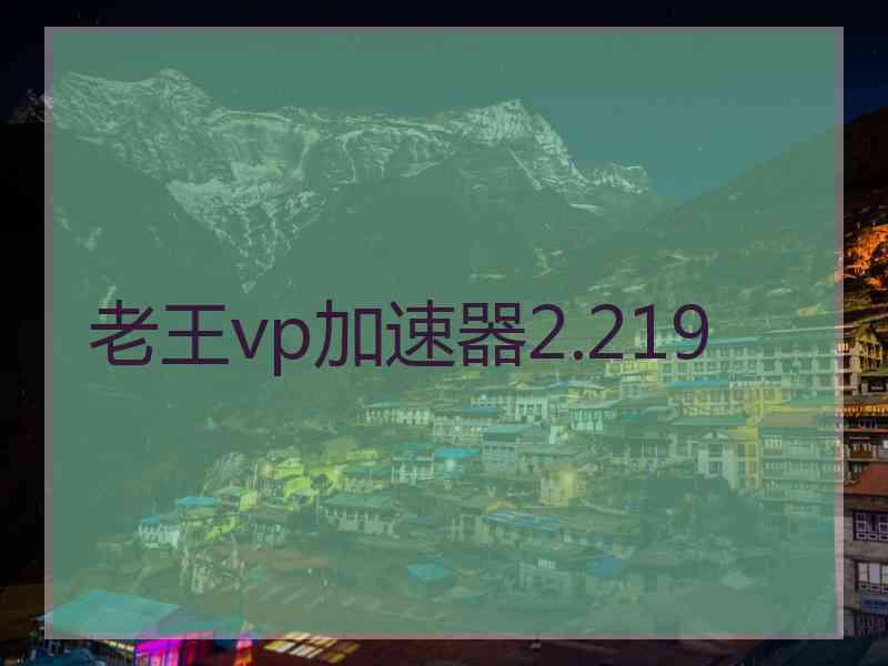 老王vp加速器2.219