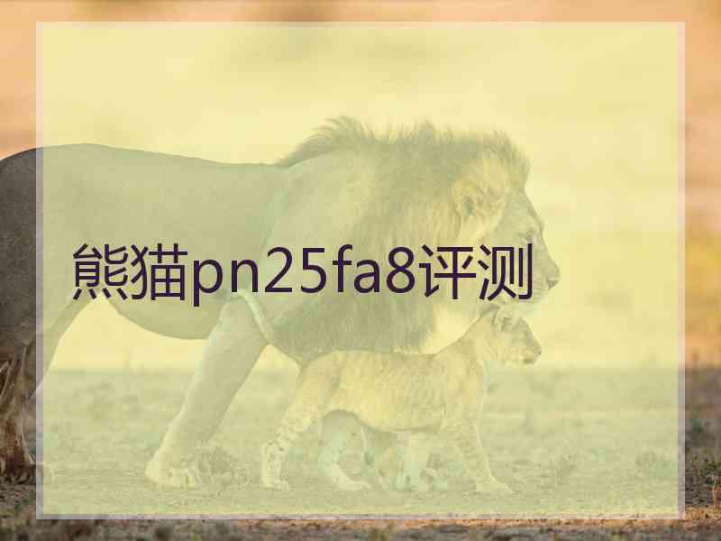 熊猫pn25fa8评测