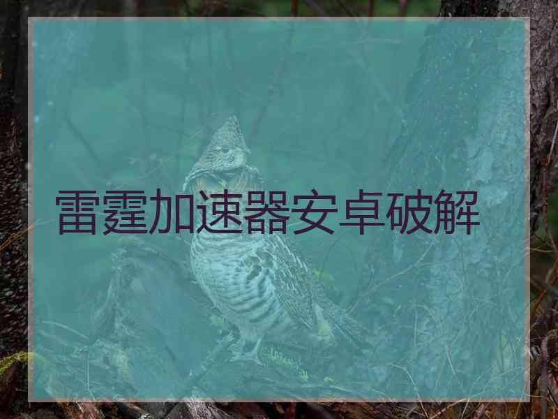 雷霆加速器安卓破解