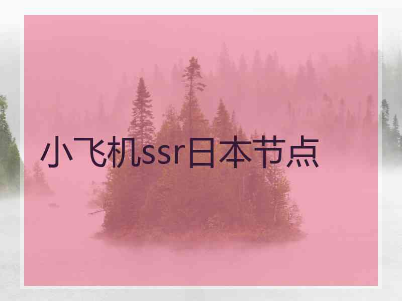 小飞机ssr日本节点