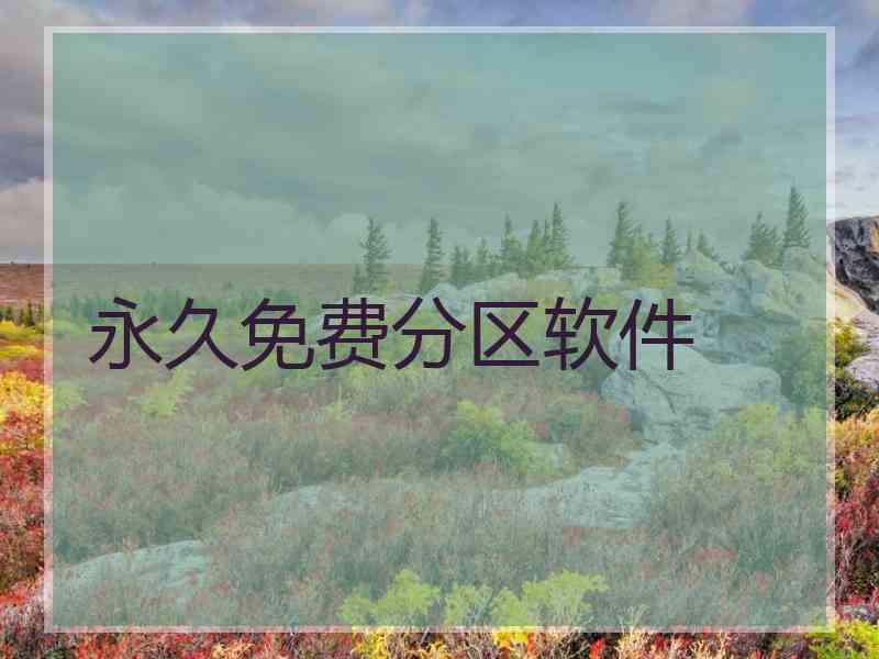永久免费分区软件