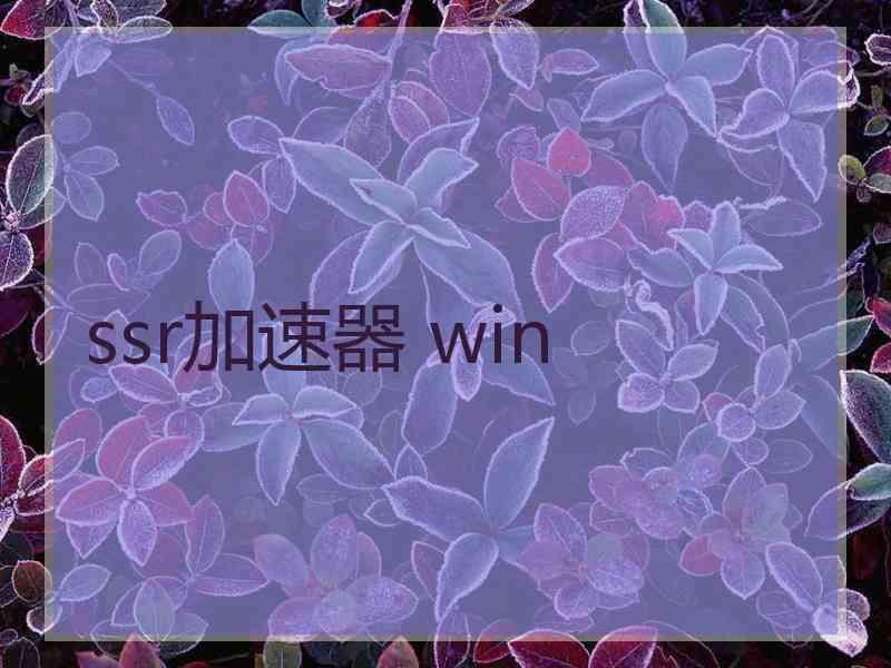 ssr加速器 win