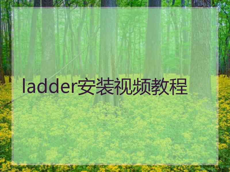 ladder安装视频教程