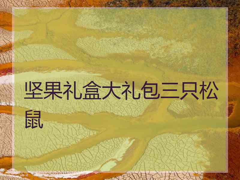 坚果礼盒大礼包三只松鼠