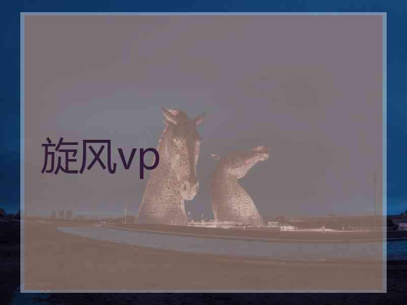 旋风vp