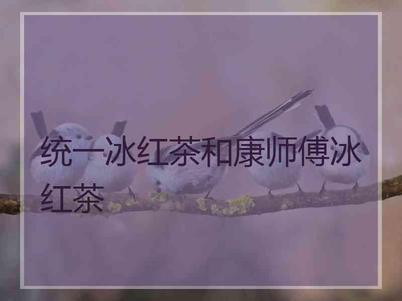 统一冰红茶和康师傅冰红茶