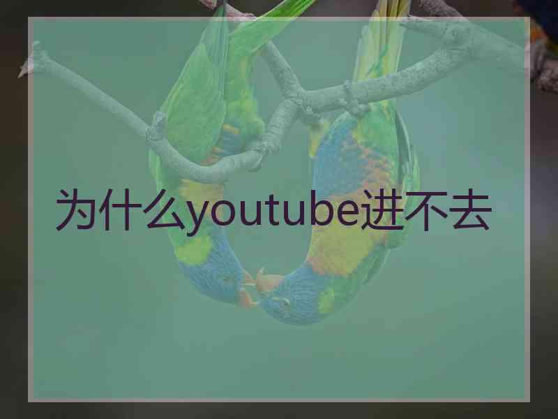 为什么youtube进不去