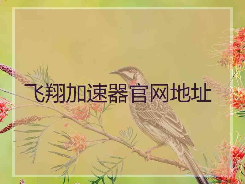 飞翔加速器官网地址