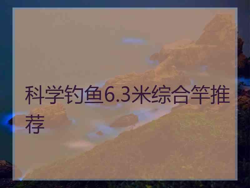 科学钓鱼6.3米综合竿推荐