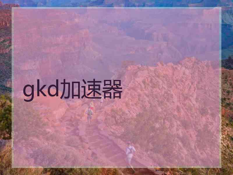 gkd加速器