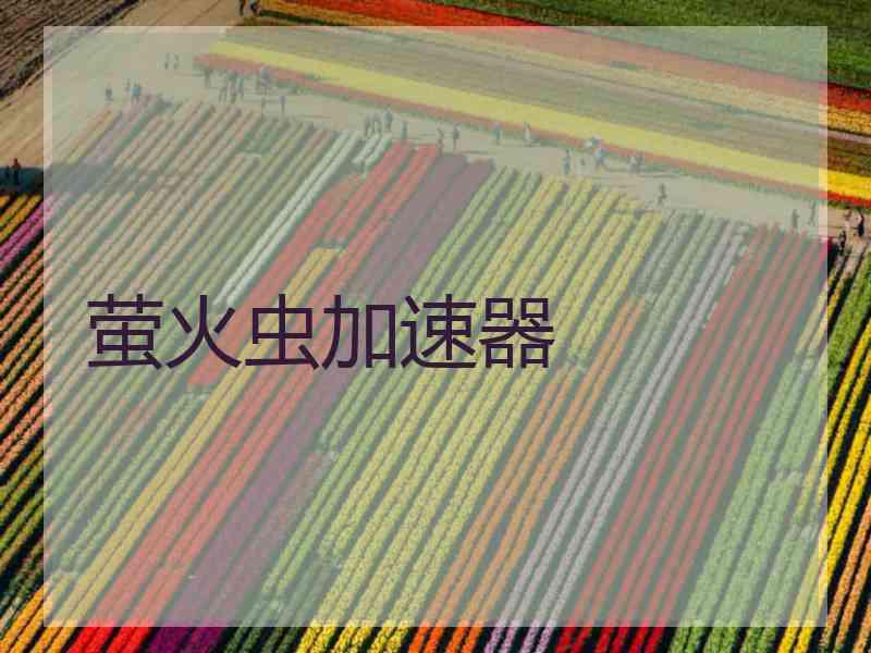 萤火虫加速器