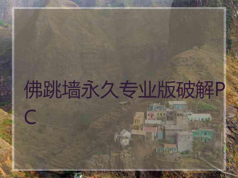 佛跳墙永久专业版破解PC