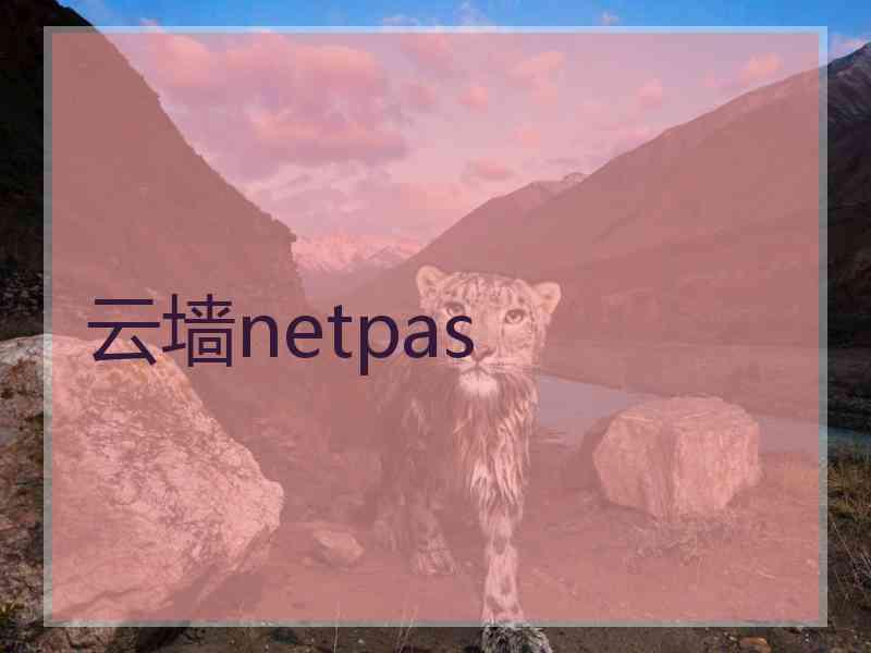 云墙netpas