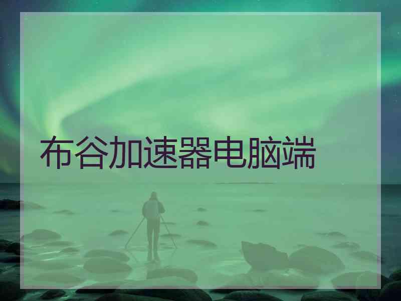 布谷加速器电脑端