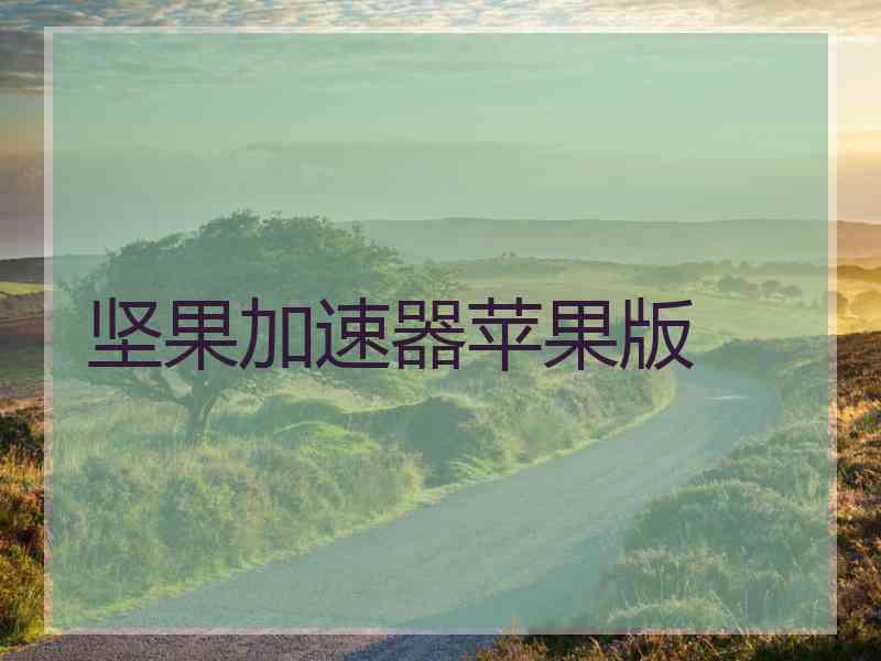 坚果加速器苹果版