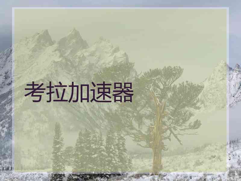 考拉加速器