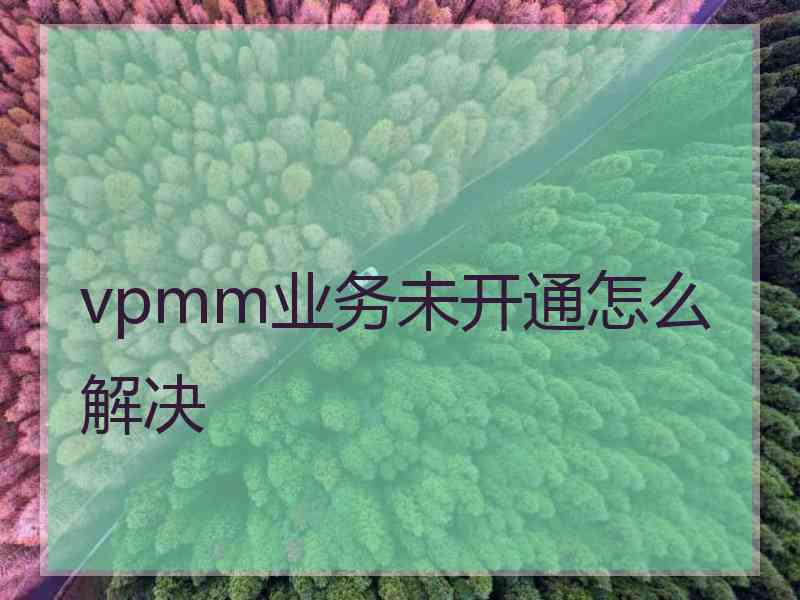 vpmm业务未开通怎么解决