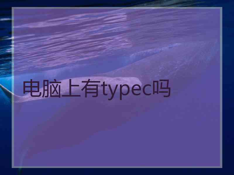 电脑上有typec吗