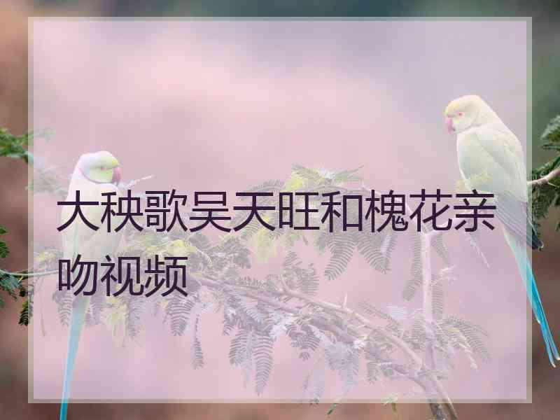 大秧歌吴天旺和槐花亲吻视频