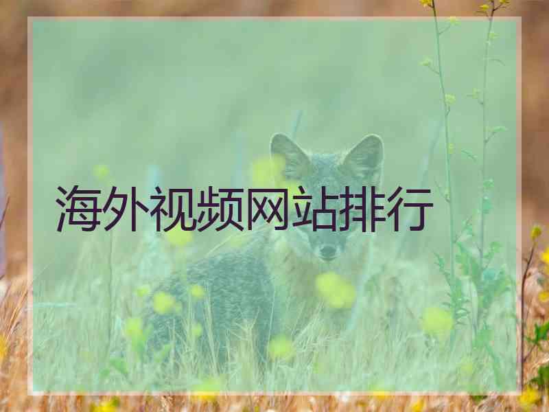 海外视频网站排行