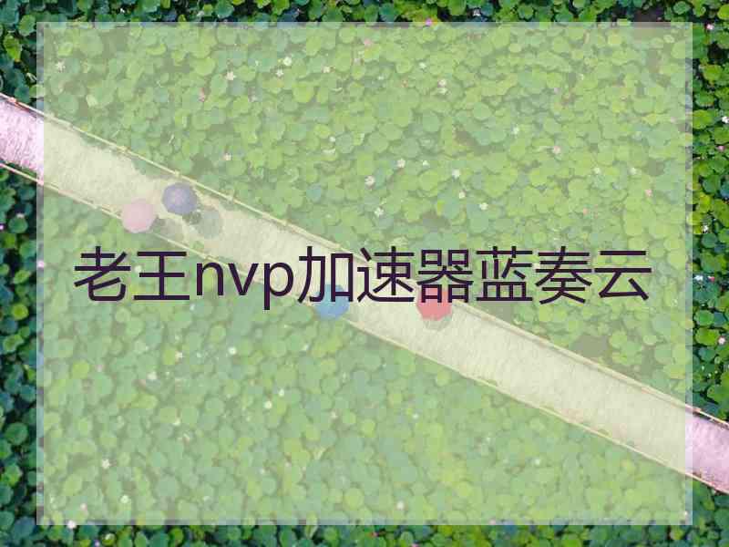 老王nvp加速器蓝奏云