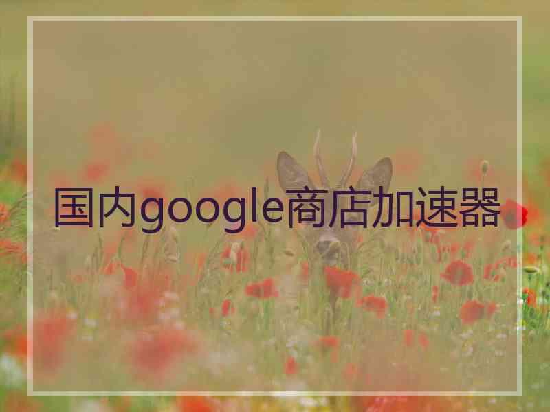 国内google商店加速器