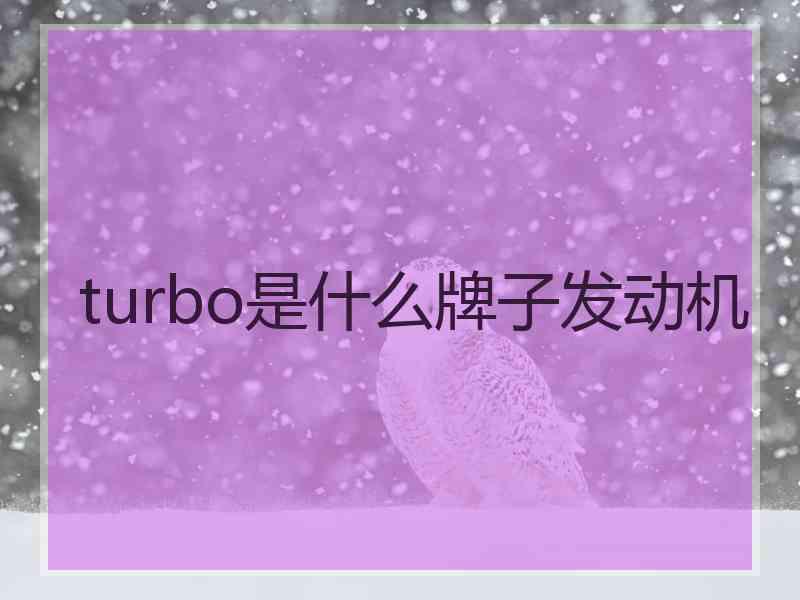 turbo是什么牌子发动机