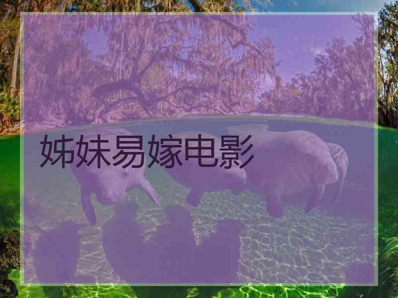 姊妹易嫁电影