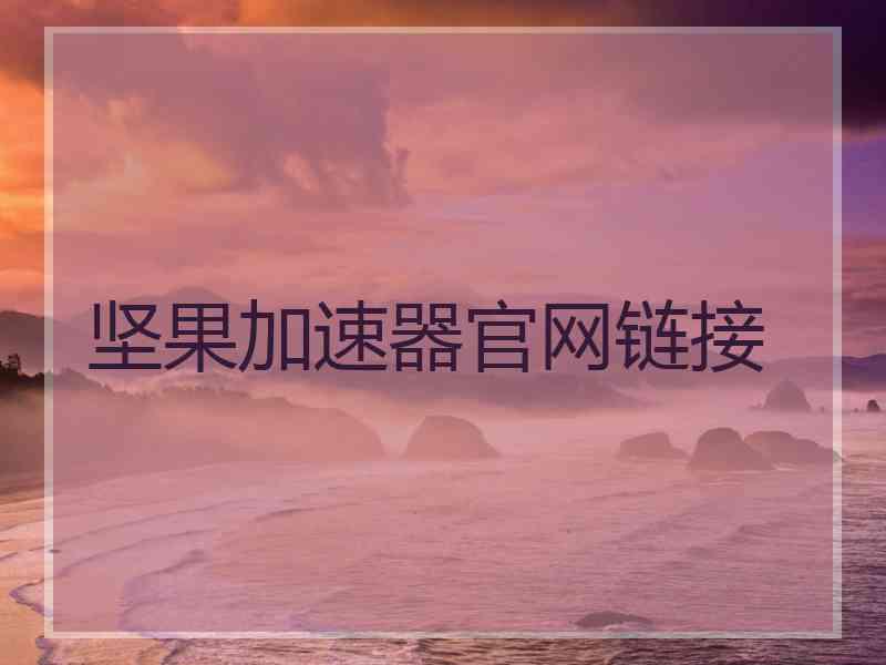 坚果加速器官网链接