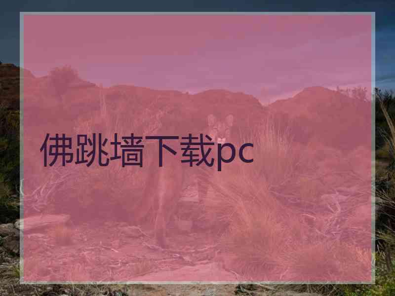 佛跳墙下载pc