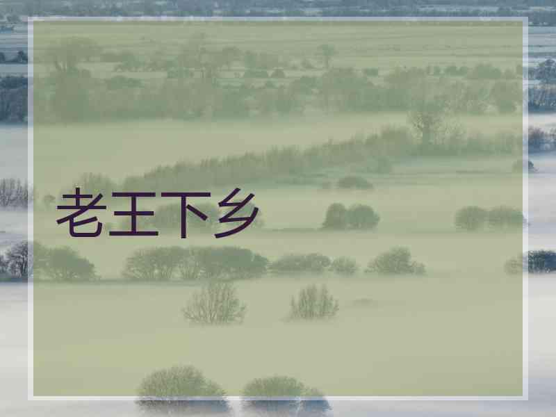 老王下乡