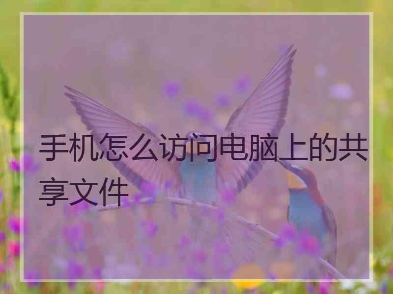 手机怎么访问电脑上的共享文件