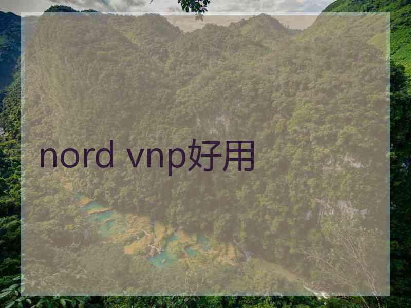 nord vnp好用