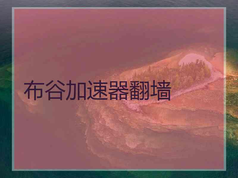 布谷加速器翻墙