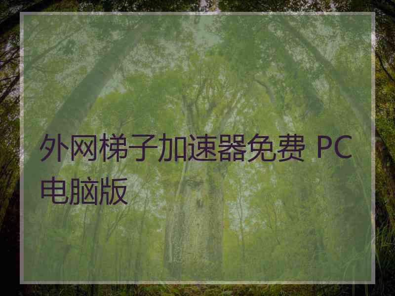 外网梯子加速器免费 PC电脑版